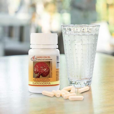 Ganoderma Colombia